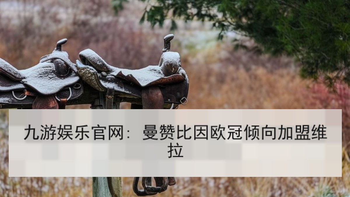 九游娱乐官网: 曼赞比因欧冠倾向加盟维拉