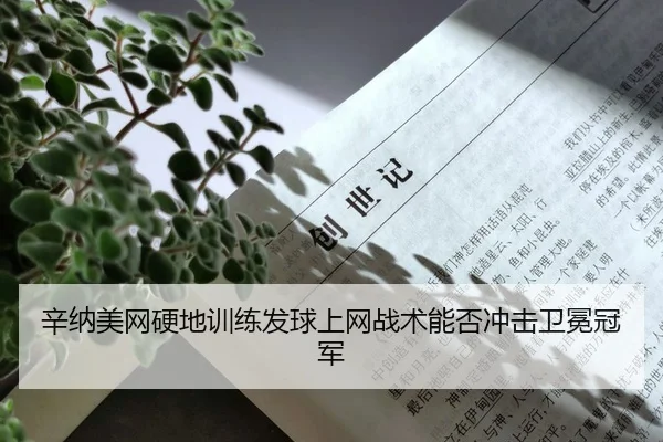 xin-na-mei-wang-ying-di-xun-lian-fa-qiu-shang-wang-zhan-shu-neng-fou-chong-ji-wei-mian-guan-jun-2-948.jpg