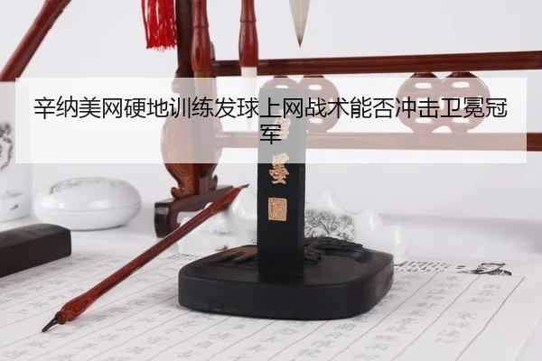 xin-na-mei-wang-ying-di-xun-lian-fa-qiu-shang-wang-zhan-shu-neng-fou-chong-ji-wei-mian-guan-jun-3-582.jpg